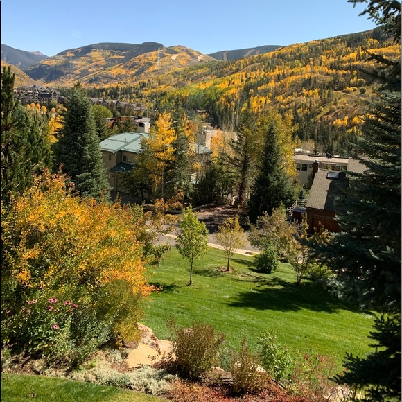 Meet your Posher, Alma - Picture 2 of 3